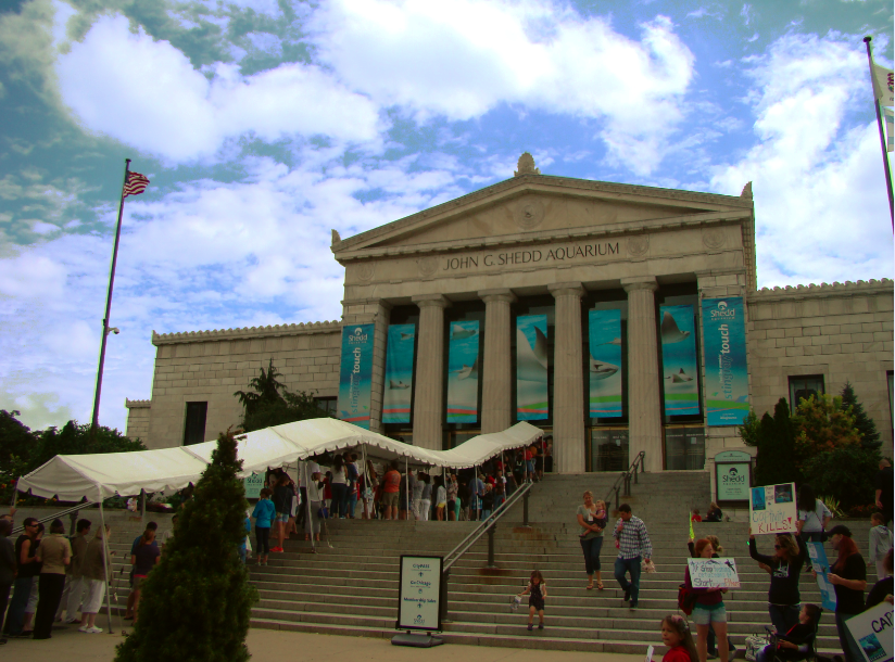 line-entering-john-g-shedd-aquarium-museum-campus-chicago-il-usa-manufactured-home-living-news-