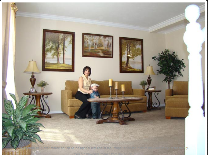 30-ironwood-living-room-manufactured-home-living-news-