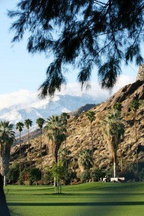 palm-trees-posted-on-manufactured-home-living-news-2