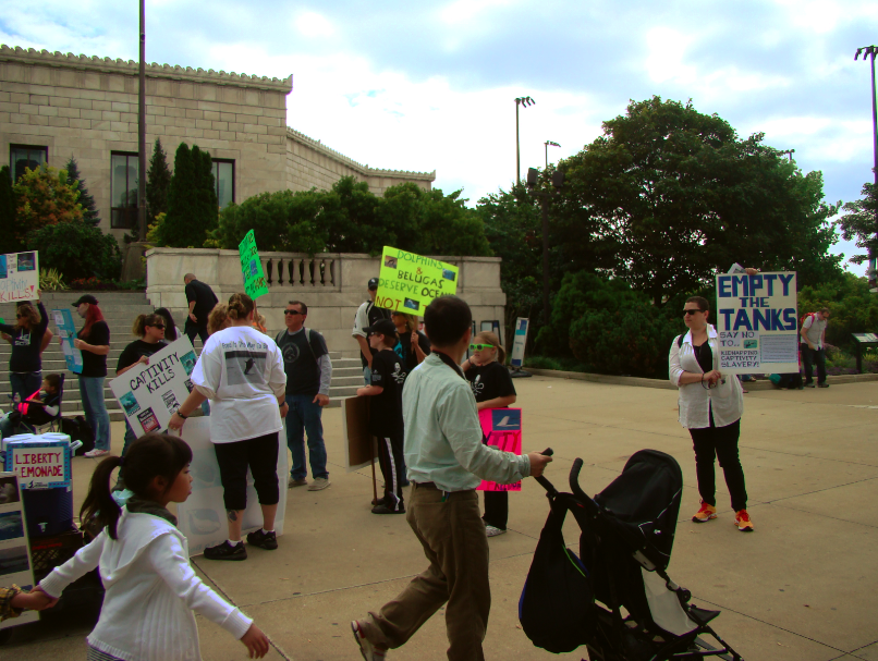 peaceful-protest-outside-shedd-aquarium-museum-campus-chicago-il-usa-manufactured-home-living-news-