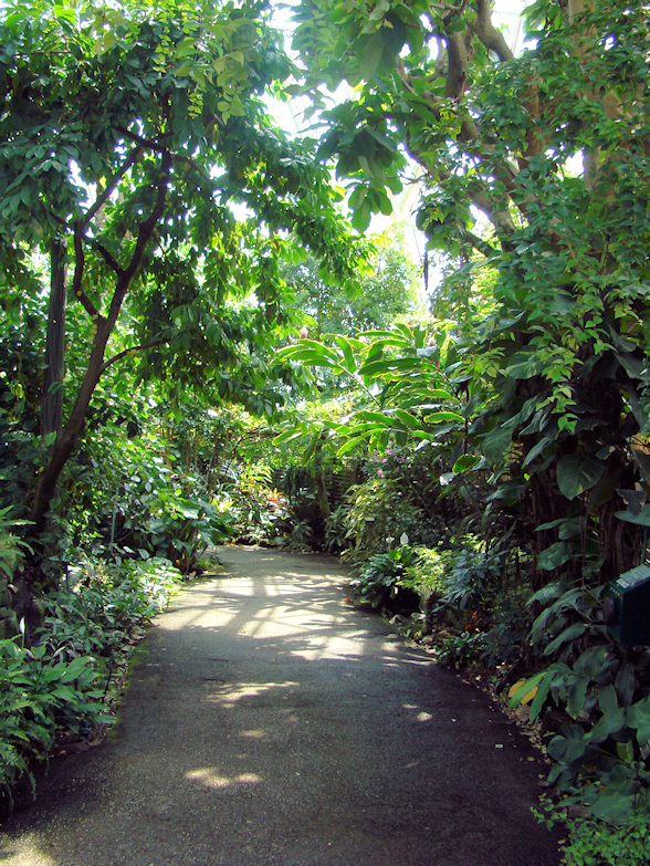 walking-path-tropical-dome-milwaukee-wi-usa-destination-manufactured-home-living-news