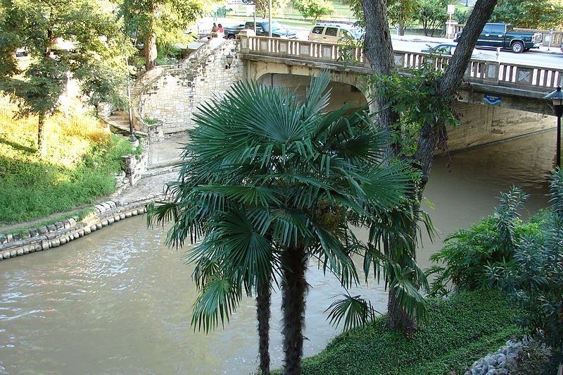 palm-trees-plants-flowers-ducks-river-walk-san-antonio-texas-credit-wikicommons-posted-manufactured-home-living-news-