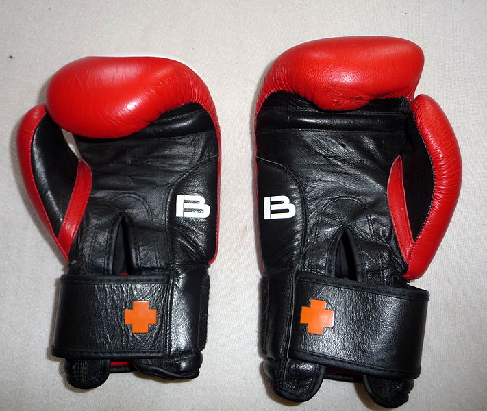 boxing_gloves_wikicommons-posted-manufactured-home-living-news-
