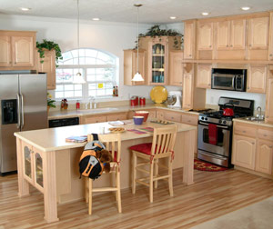 modular-home-kitchen-michhome-org-