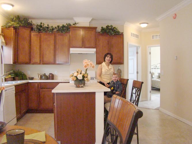 30-ironwood-kitchen-manufactured-home-living-news-